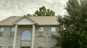 Neligan Construction